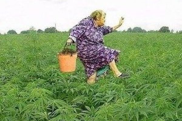 Как зайти на кракен kr2web in