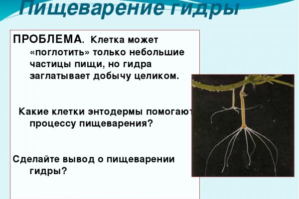 Зеркало кракен kr2web in