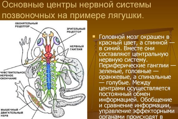 Кракен дарк сайт